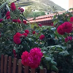Di Giorgi Cefalù