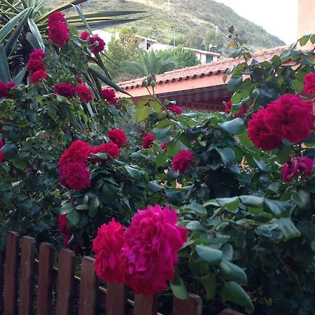 Di Giorgi Cefalù